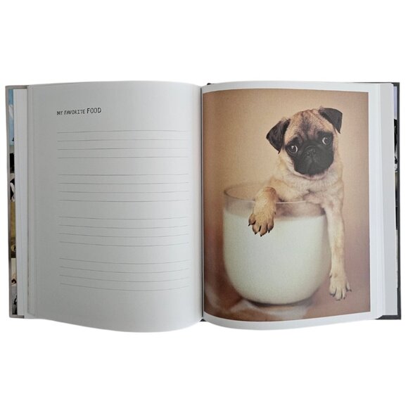 My Dog Record Book By Rachael Hale | Hardcover | NWT | Gray Red - Picture 10 of 12